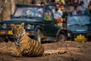jaipur-ranthambore-taxi
